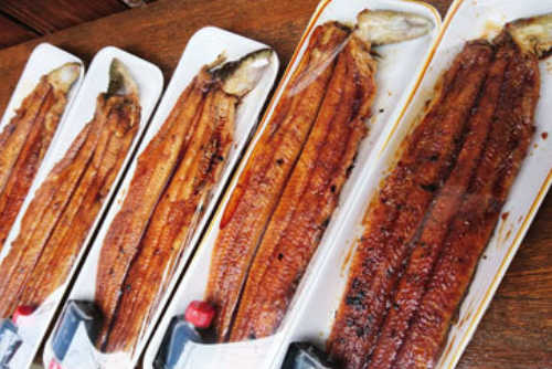 うなぎの蒲焼き